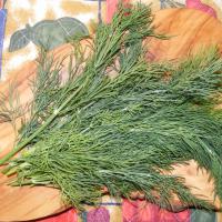 Dill seeds: Anethum graveolens