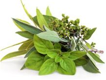 Herb Display