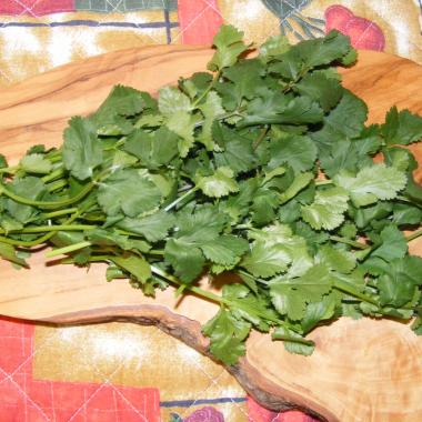 Coriander seeds (Cilantro, Chinese Parsley, Pak Chee): Coriandrum sativum
