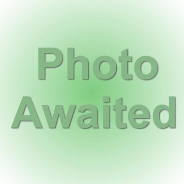 Pot Marigold seeds: Calendula officinalis