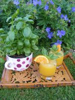 Basil and Orange Mojito