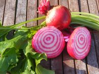 Beetroot and apple soup