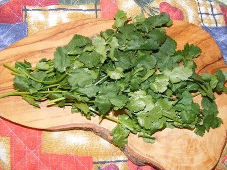 Coriander salsa