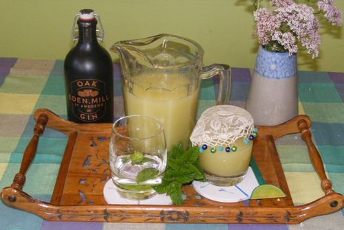 Lemon and Lime cooler